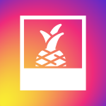 Instagram Feed - Shopify App