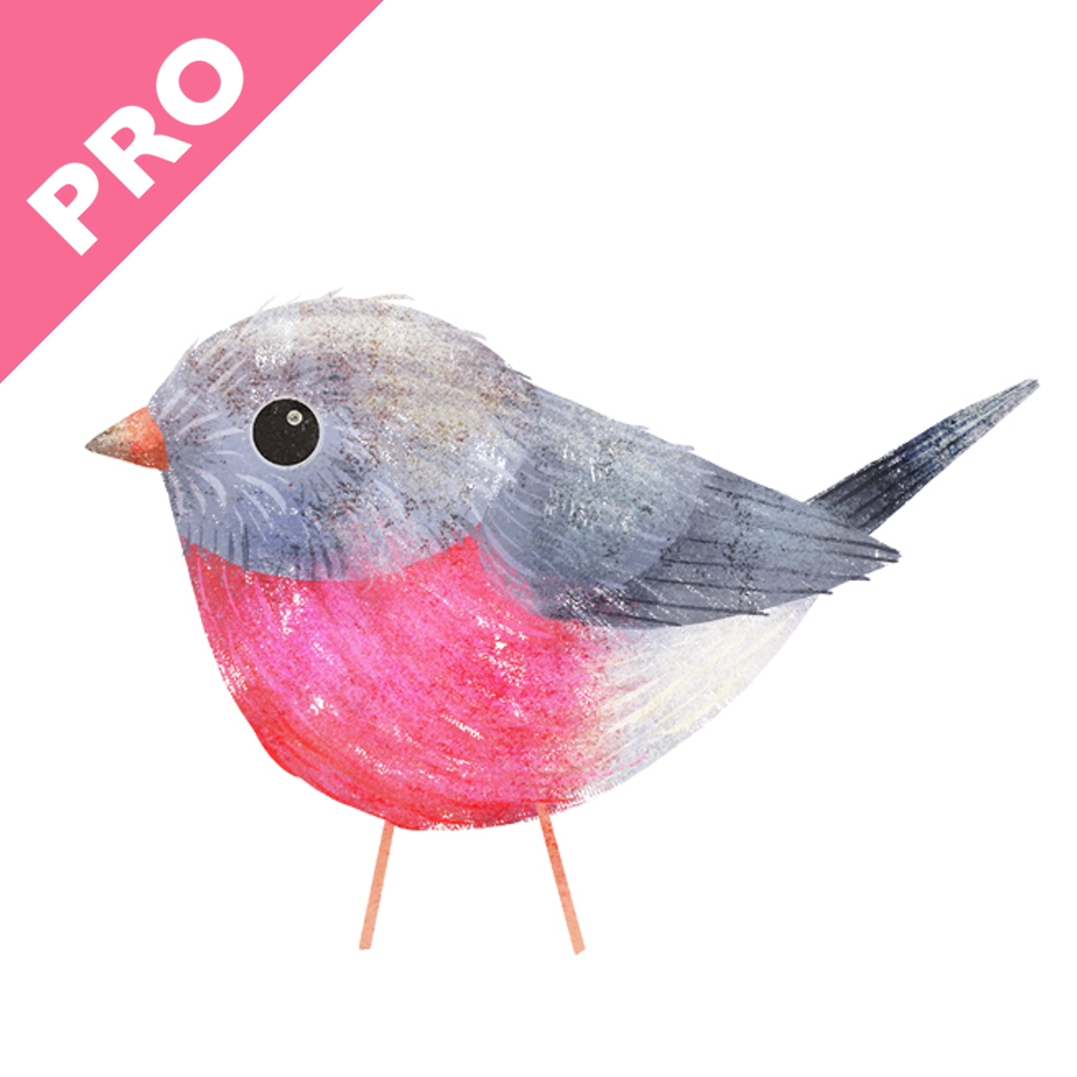 Photo Gallery | Robin PRO - Shopify App